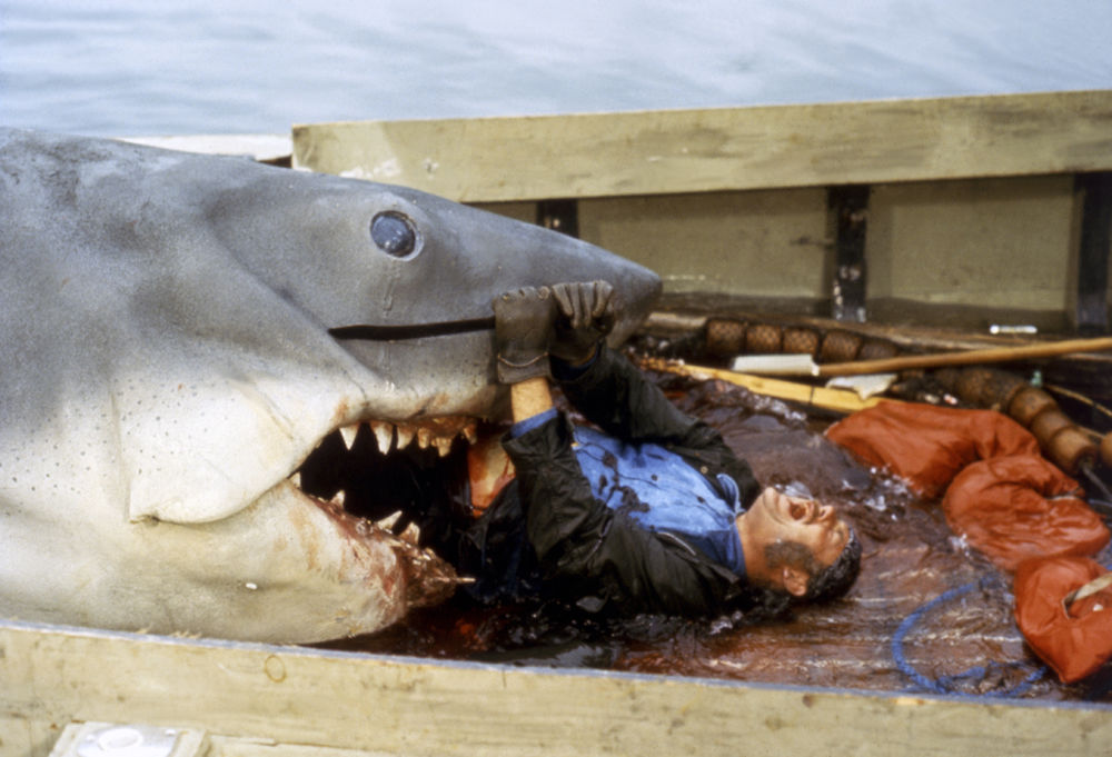 The shark ends up eating the professional shark hunter in Jaws.